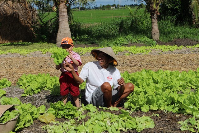 Mùa hè nông trại của các bé Mầm non iSchool Bạc Liêu cho trẻ quan sát trồng rau