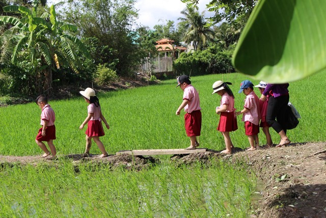 Mùa hè nông trại của các bé Mầm non iSchool Bạc Liêu