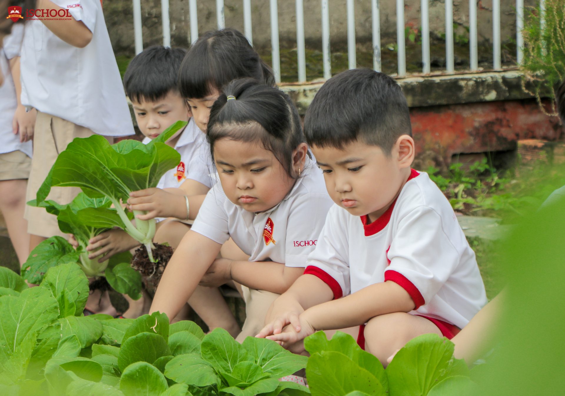 Trải nghiệm hoạt động ngoại khóa