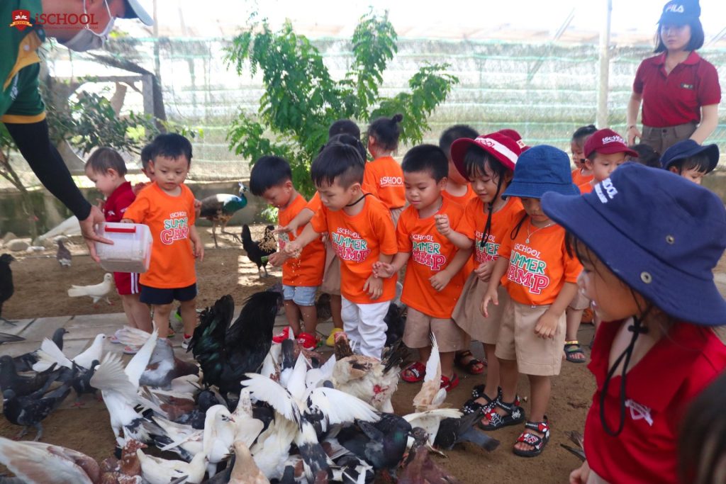 iSers trải nghiệm cho chim bồ câu ăn tại Tiên Tiến Farm & Zoo