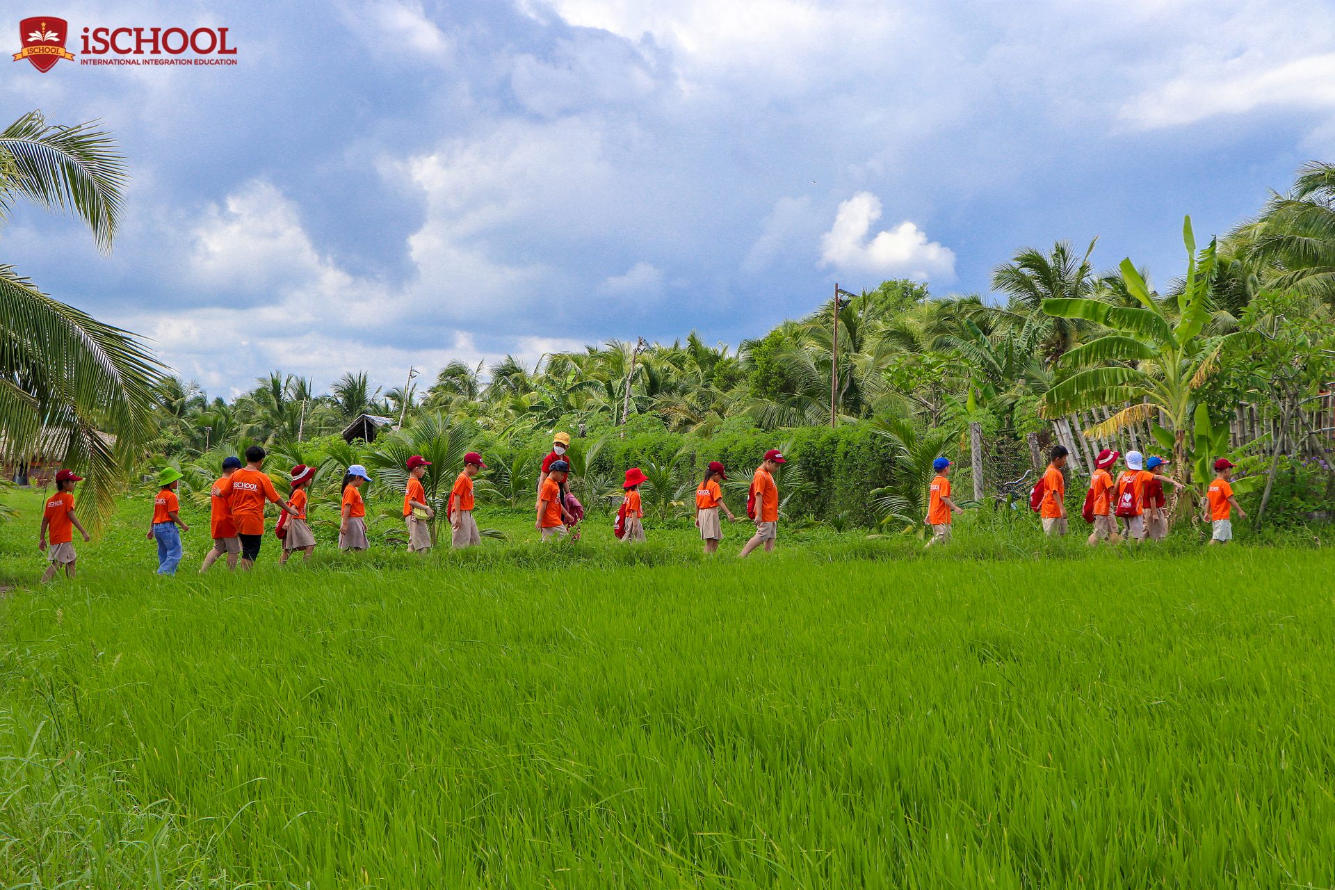 trang trại Mật hoa dừa Sokfarm