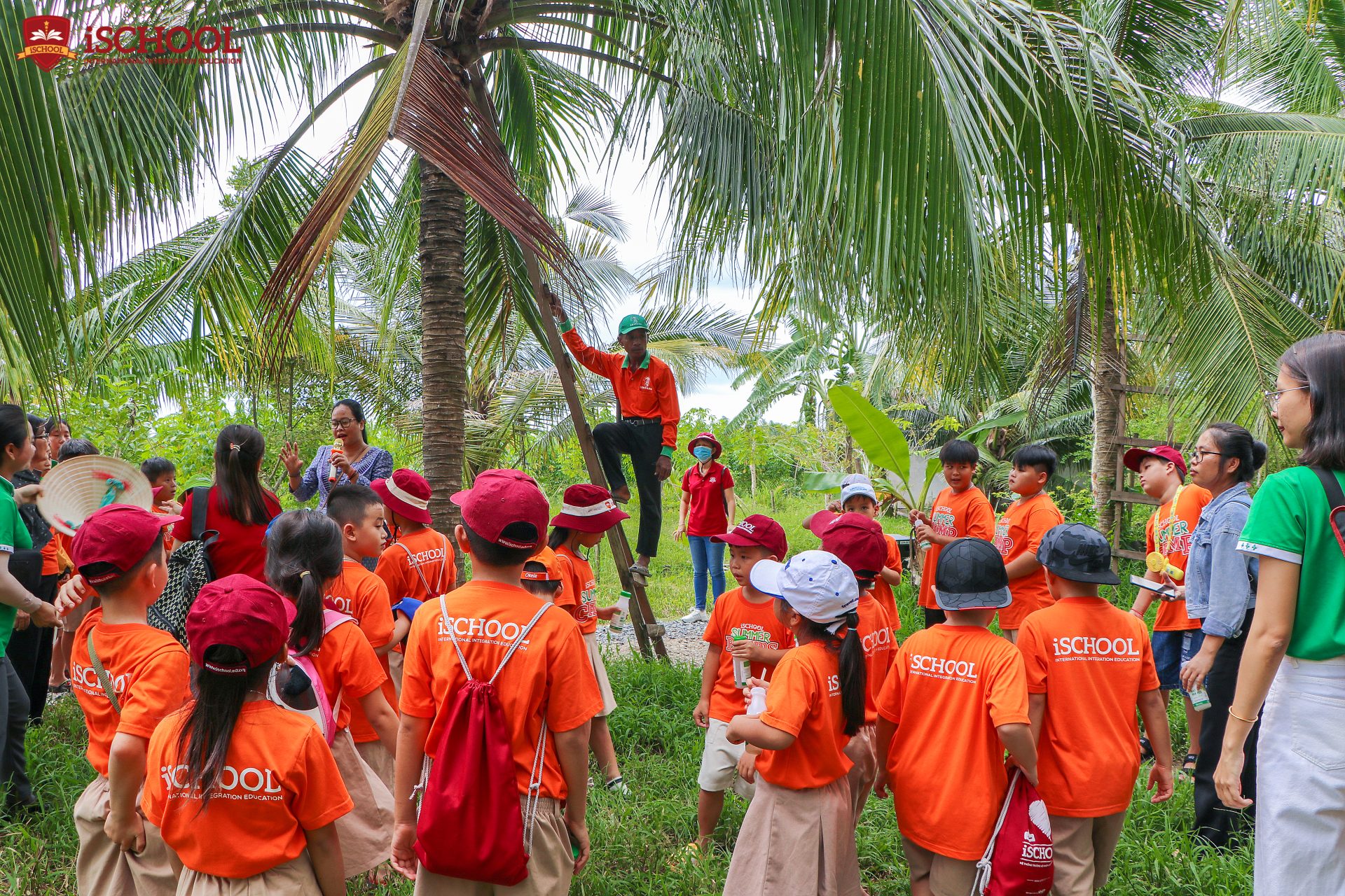 Nghe các cô chú tại Trang trại Sokfarm hướng dẫn cách lấy mật hoa dừa