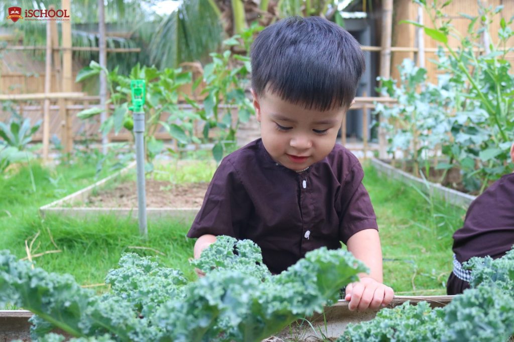 iSers thích thú khi trải nghiệm hóa thân thành "bác nông dân nhí" thăm vườn, chăm sóc rau