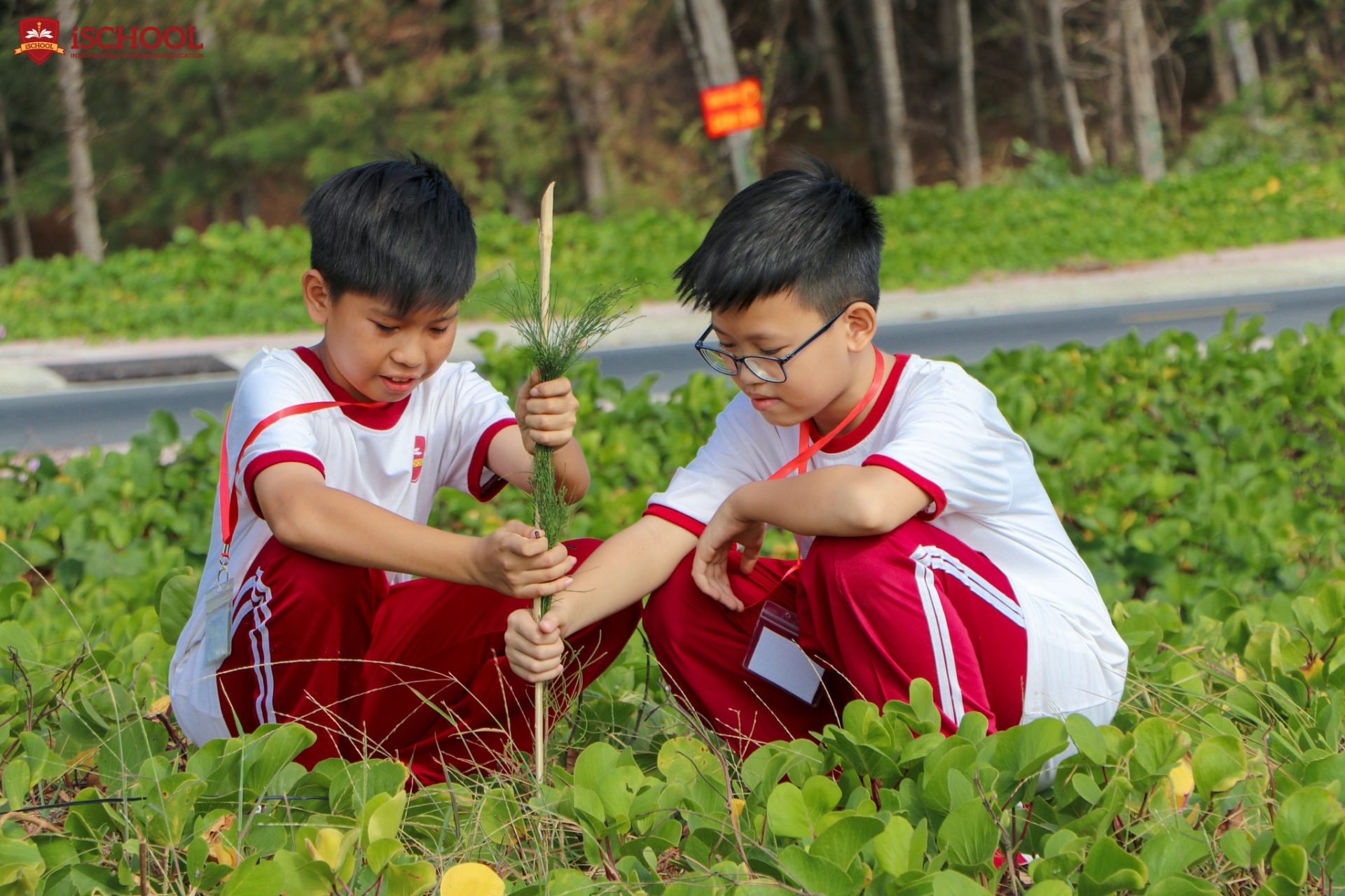Các học sinh tại trường iSchool Trà Vinh tham gia trồng 700 cây phi lao tại vùng biển Ba Động