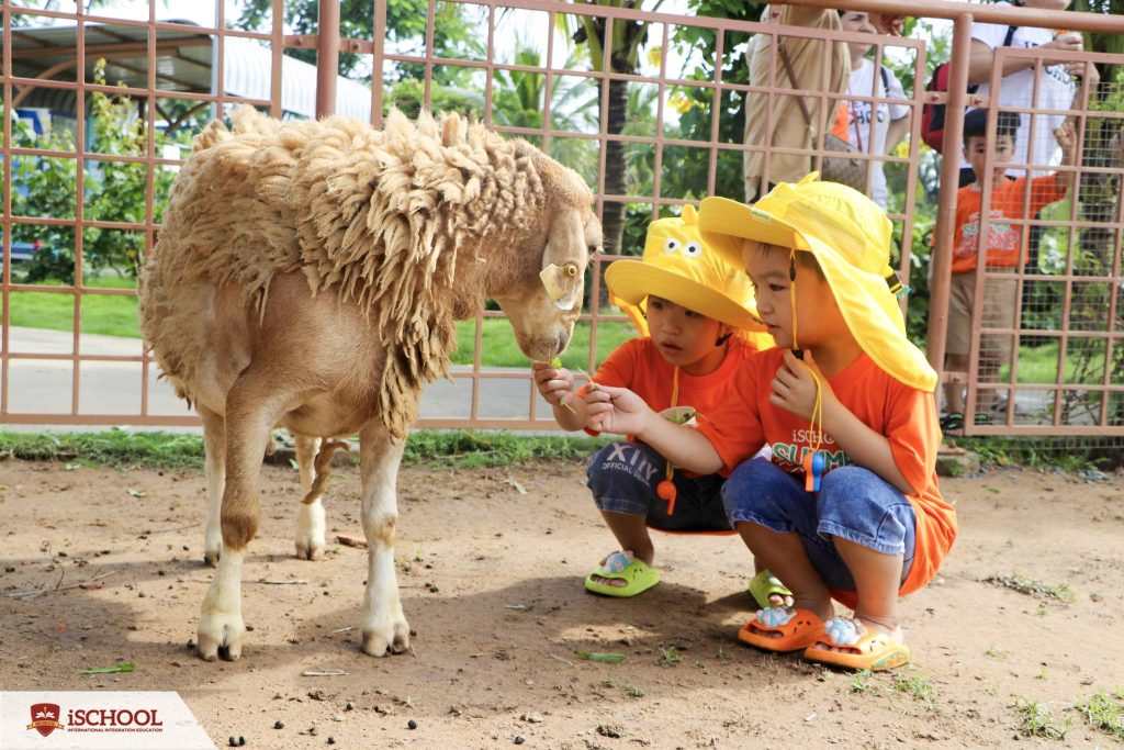 Các bé iser trà vinh thăm vườn thú