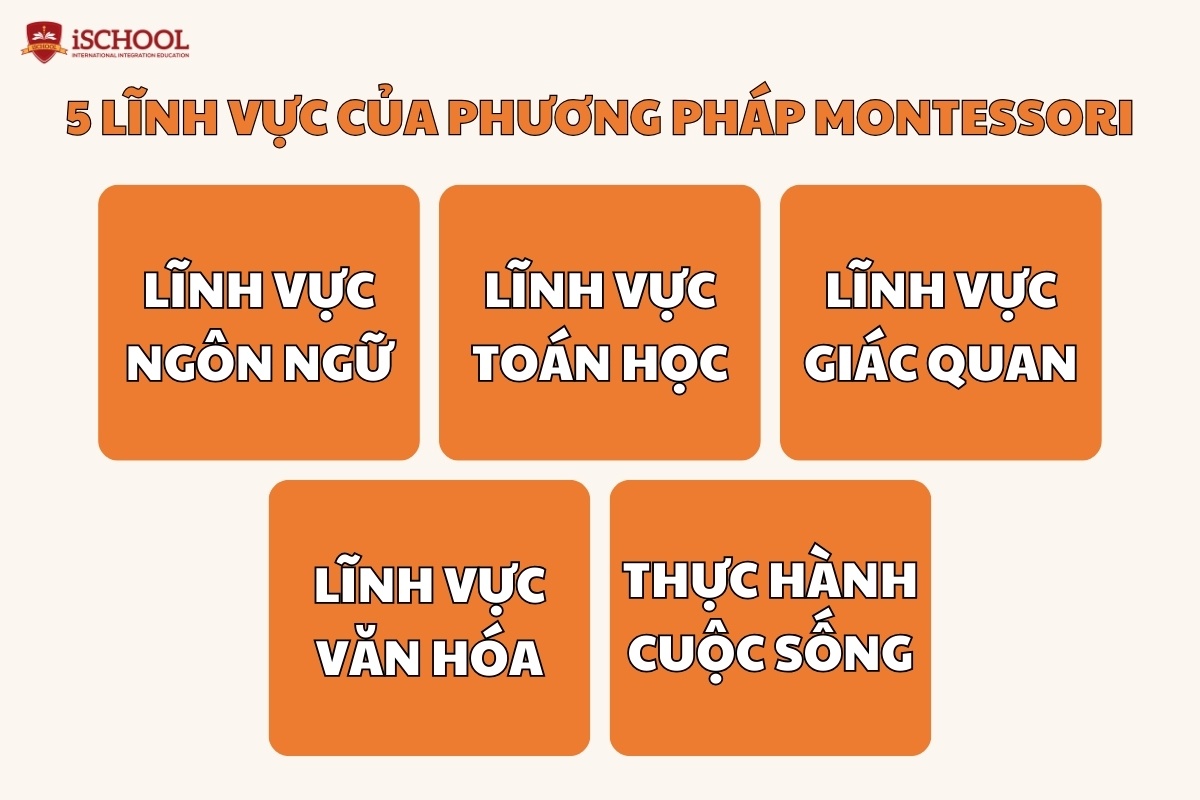 5 lĩnh vực của phương pháp học Montessori