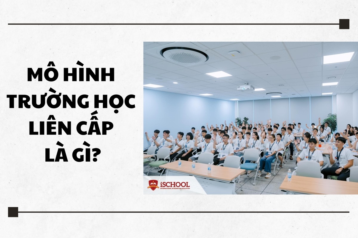 Trường liên cấp là gì?