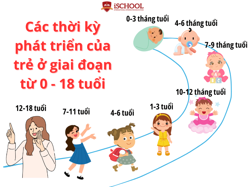 các giai đoạn phát triển của trẻ