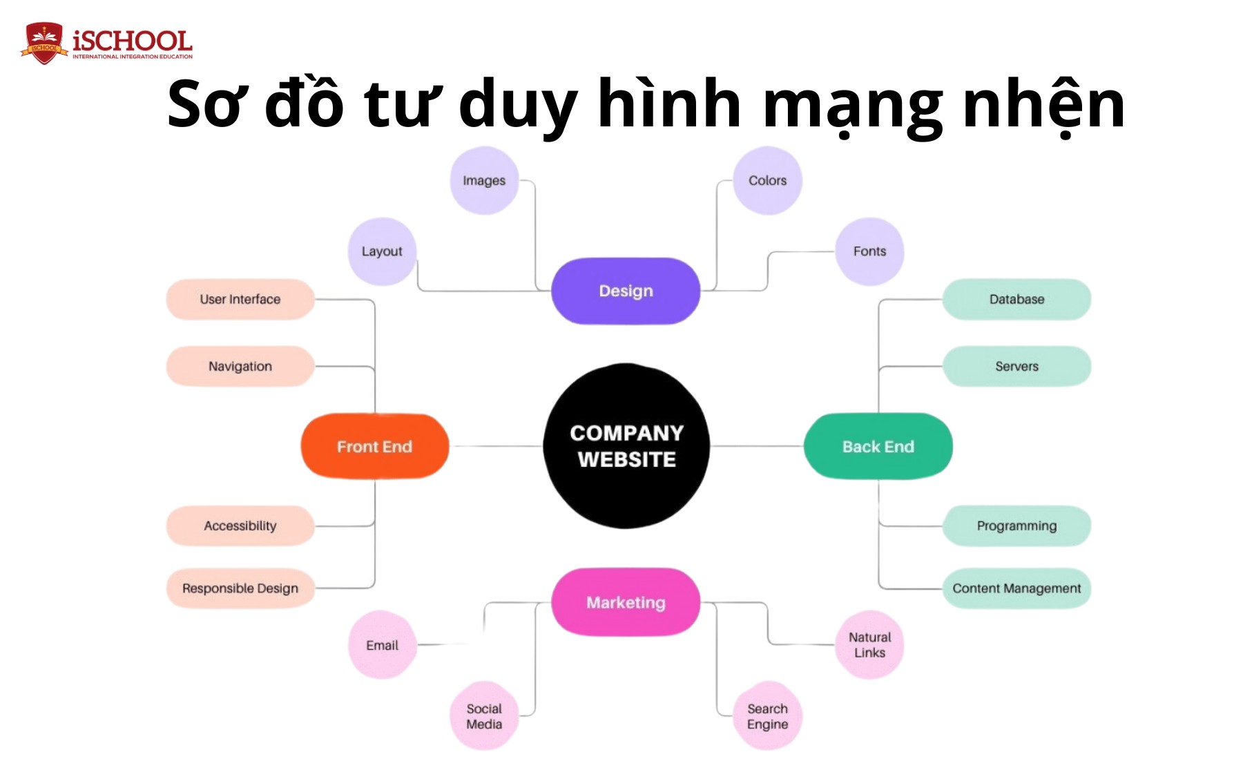 Mẫu sơ đồ tư duy hình mạng nhện