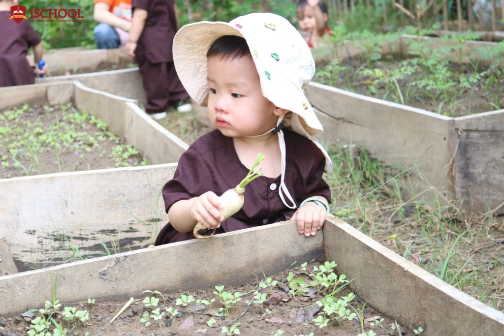 Trở về miền quê với "Vườn nhà ai" – Kết nối với thiên nhiên